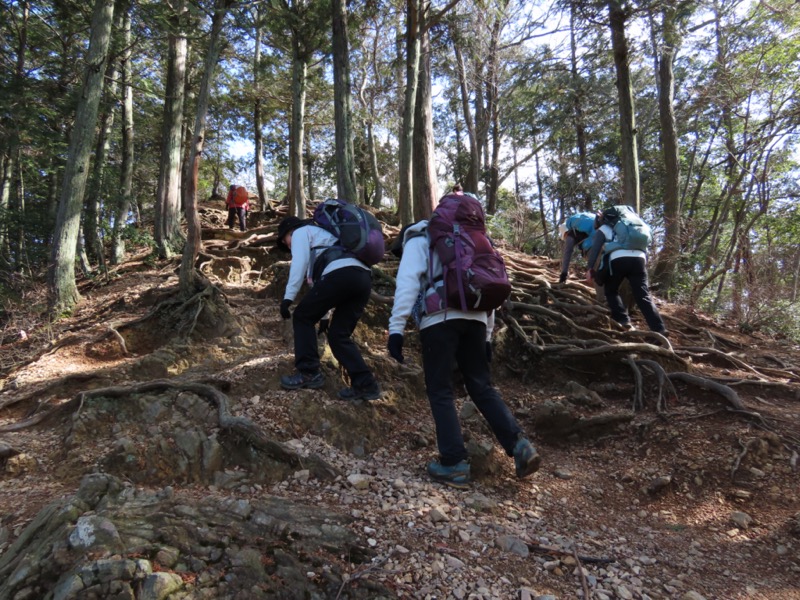 日和田山、物見山